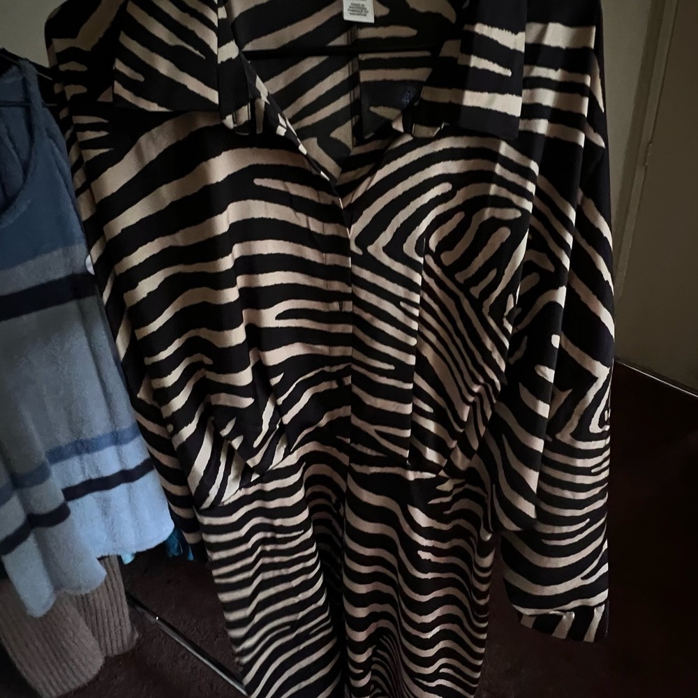 H&M Zebra Print Long Sleeve Dress
